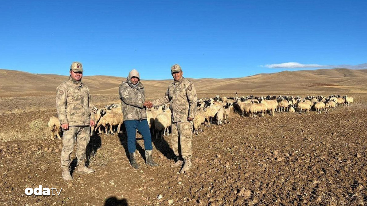 kayip 300 koyunu iha buldu pjD8GMbK