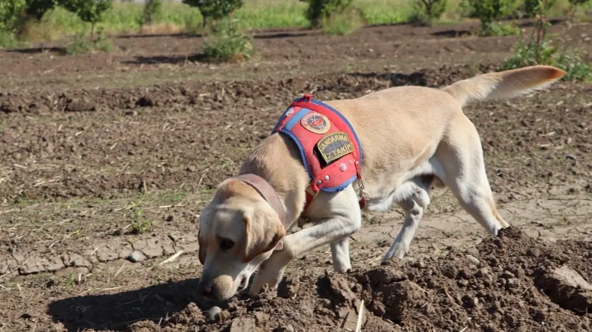 alzheimer hastasi kayip islam temesin arama calismalari devam ediyor x4r6GGTS.jpg
