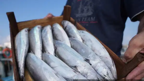 bakanlik acikladi filipinlere kanatli eti ile su urunleri ihracatinda kisitlamalar kaldirildi KExf9dzN