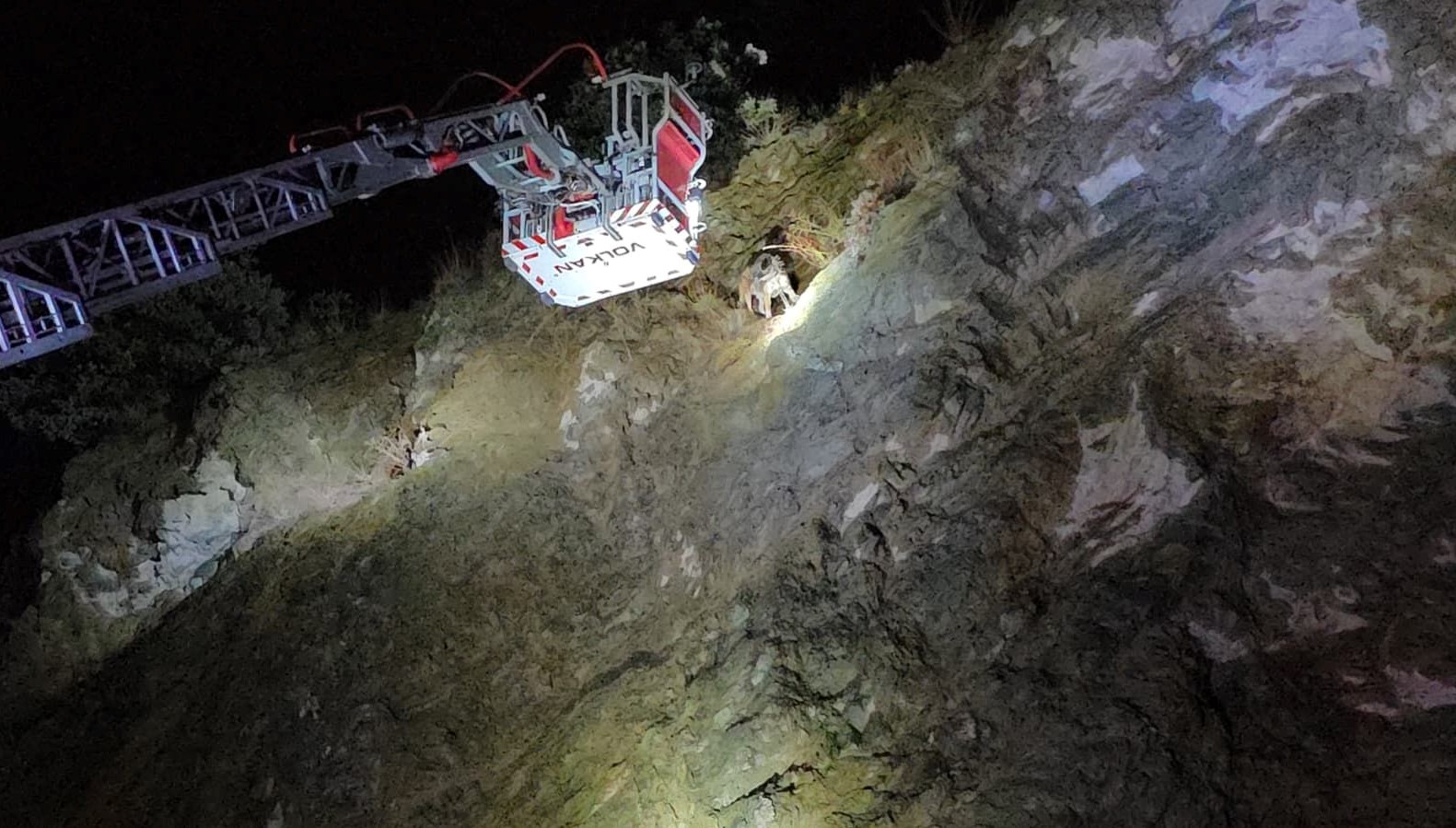 ucurumun ortasinda mahsur kalan kopege itfaiye yetisti 1RkGRPsd.jpg