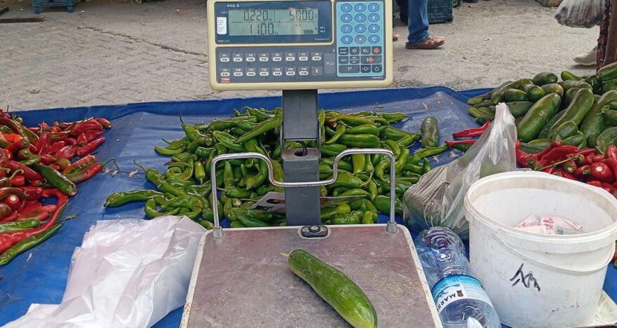 Salatalık Fiyatları Şaşkınlık Yarattı: Tanesi 11 Lira!